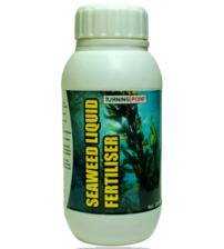 Chipku Seaweed Liquid Fertilizer 250 ml